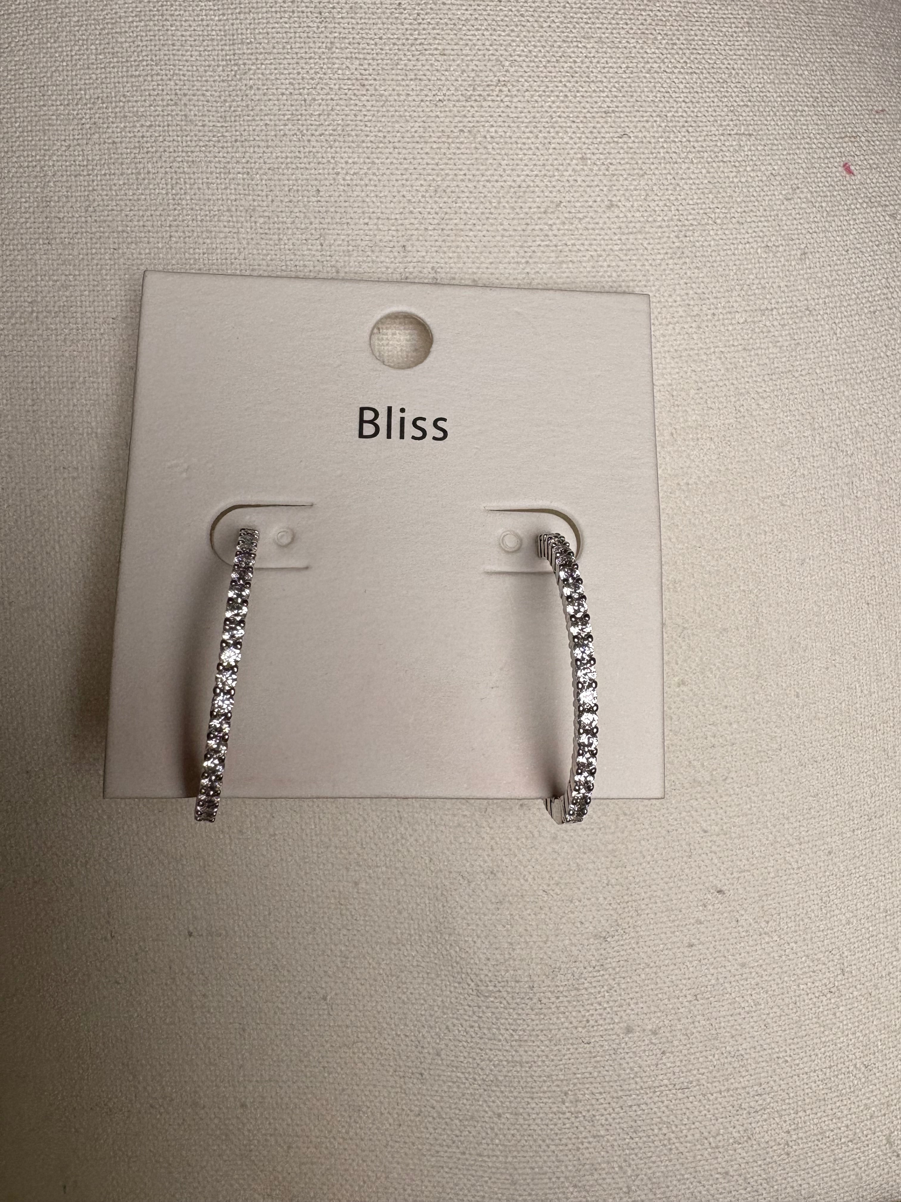 Silver Sparkle Hoops